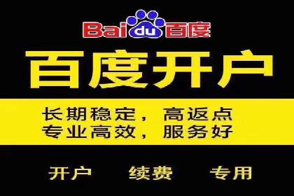 SEM竞价案例深度解析：广告主如何盈利